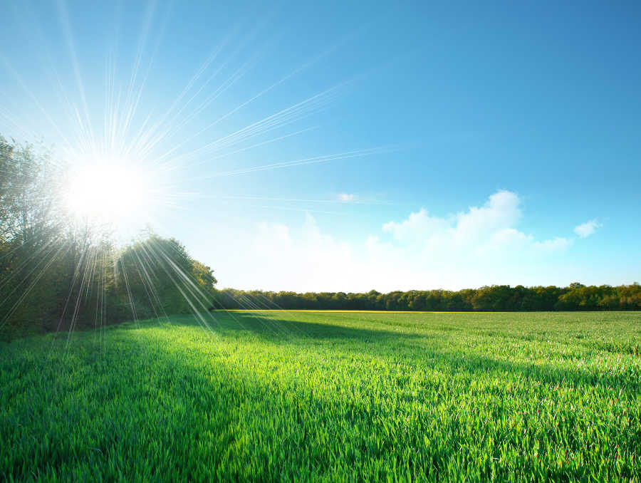 Green-North-Vancouver-field-in-the-sunshine.jpg