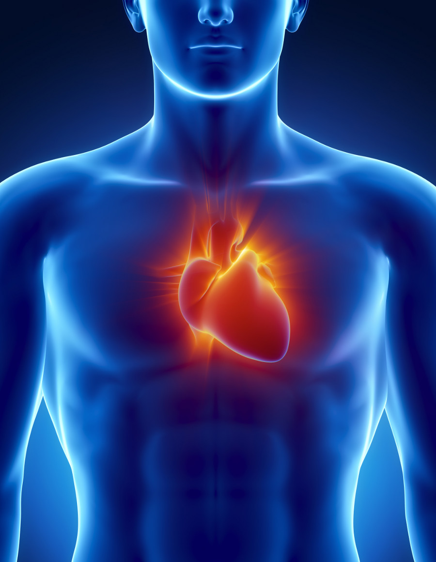 Healthy-heart.jpg
